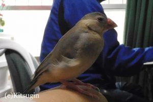 おーちゃん