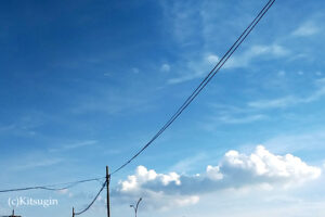 近所の空
