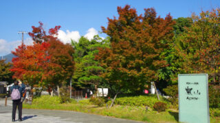 色づき始めの嵐山